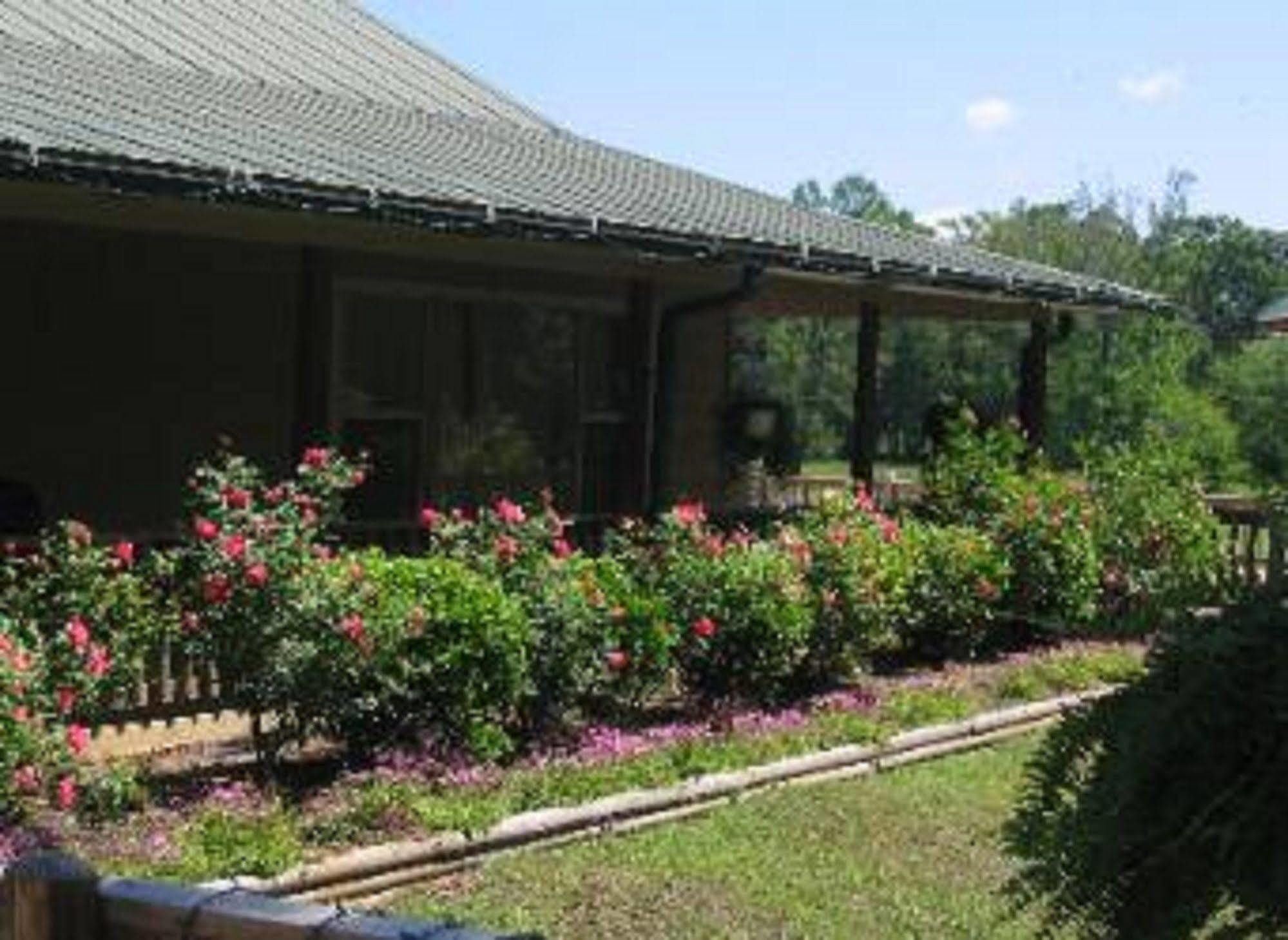 נאקוגדוצ'ז Pine Creek Country Inn מראה חיצוני תמונה