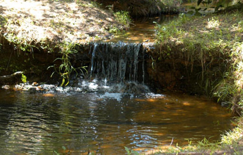 נאקוגדוצ'ז Pine Creek Country Inn מראה חיצוני תמונה